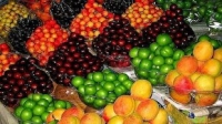 علت نوسان قیمت میوه در بازار چیست؟