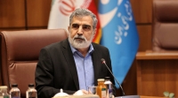 کمالوندی: صنعت هسته‌ای متوقف نخواهد شد