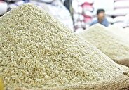 ترخیص برنج های وارداتی آغاز شد