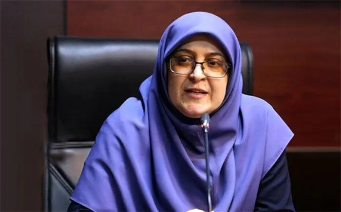 سخنگوی دولت از آخرین وضعیت پروازها گفت + فیلم