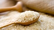 بازار برنج به تعادل نزدیک می‌شود/واردکنندگان پای کار تأمین ماندند