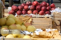 نکات کلیدی تغذیه‌ای برای بیماران دیابتی | این میوه‌ها را با احتیاط بخورید