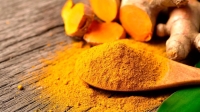 کشف خواص ضدباکتریایی زردچوبه و ریواس؛ حتی قوی‌تر از آنتی بیوتیک