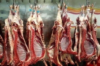 قیمت گوشت قرمز امروز 22 تیر 1404 | ماهیچه گوسفندی کیلویی چند؟