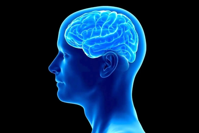 با این 2 واکسن جلوی آلزایمر را بگیرید