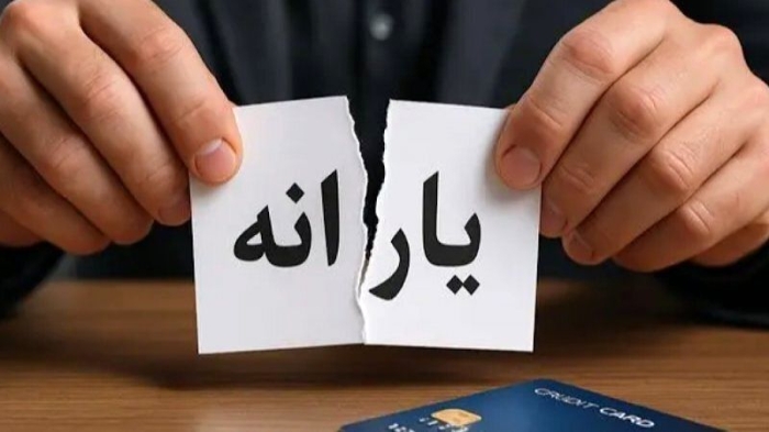 قطع یارانه رسماً آغاز شد | لیست خانوارهای حذف شده از یارانه