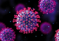 متخصص اورولوژی: واکسن HPV مصونیت کامل ایجاد نمی‌کند؛ فقط از 2 تا 9 تیپ ویروسی پیشگیری می‌کند