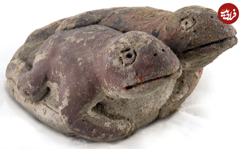 Frogs-sides