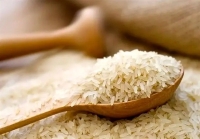 برنج وارداتی در بازار آزاد تا 3 برابر قیمت مصوب فروخته می‌شود!