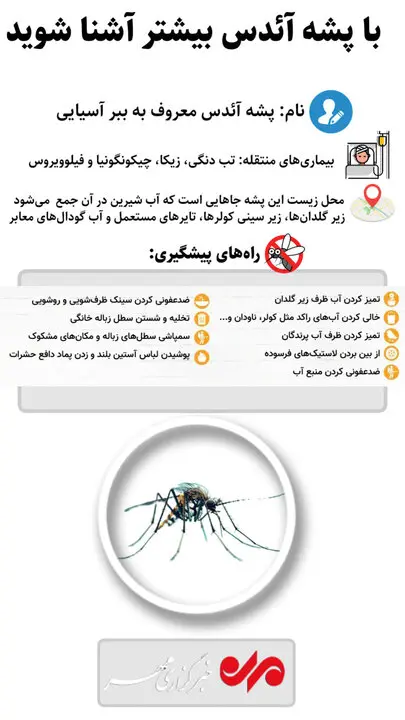 پشه آئدس