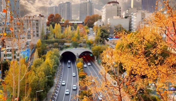 کاهش دما تا 10 درجه در شمال شرق؛ خطر سرمازدگی باغات و مزارع