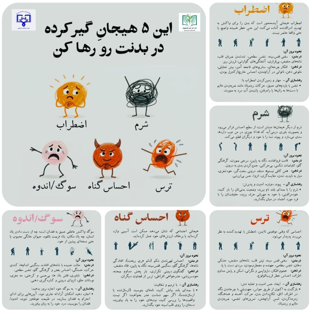 هیجان گیر کرده در بدن چه بلایی سرتان می آورد؟+اینفوگرافیک