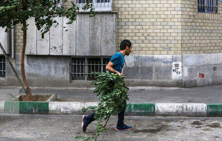 وزش باد عصرگاهی در تهران | گرد و خاک در راه است؟