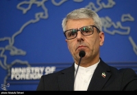 بقایی: بی‌کیفرمانی جنایات اسراییل باید پایان یابد