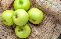 نجات لثه ها فقط با مصرف این میوه