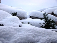 پیش بینی غیر منتظره بارش برف در این استان