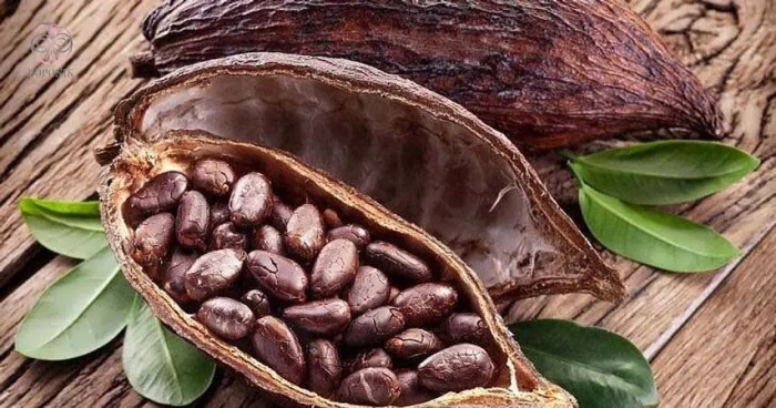 اگر زیاد می‌نشینید، کاکائو بخورید!