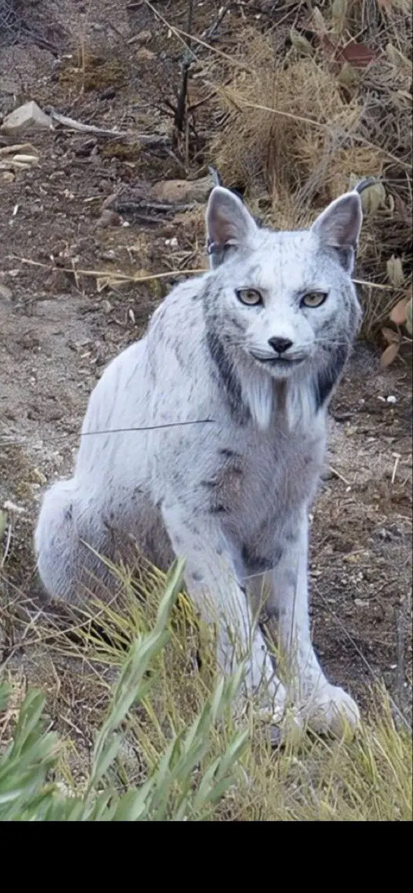 photo_2025-11-01_08-26-18