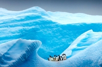 اگر یخ‌ها بروند، جنوبگان چه می‌ماند؟ / جنوبگان پس از ذوب یخ‌ها چه شکلی خواهد بود؟ + عکس