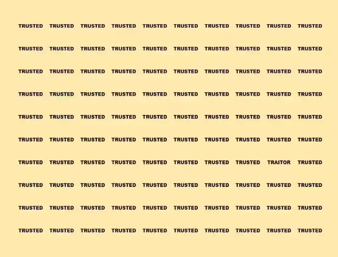 photo_2025-11-03_21-53-29