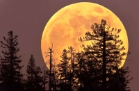 ماه، این بار بزرگ‌تر از همیشه؛ چهارشنبه شب را از دست ندهید