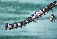 آب و هوای استان ها امروز14 آبان | یخبندان در 5 استان