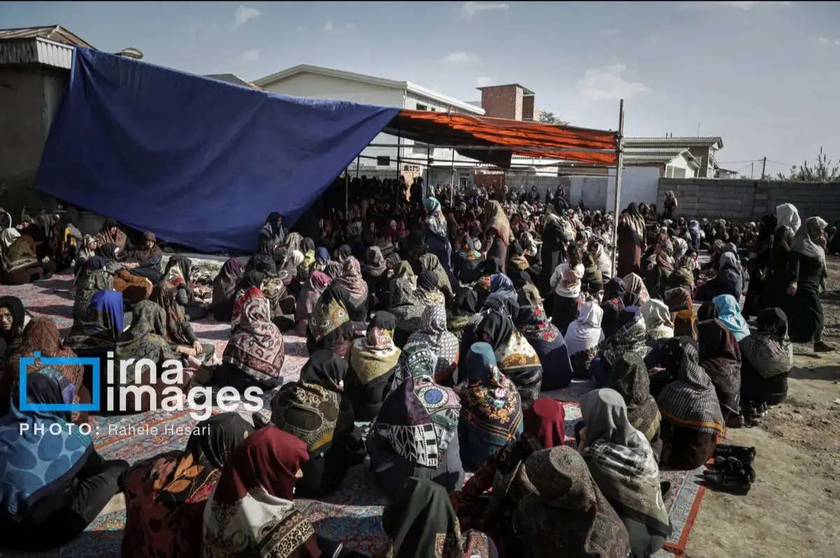 Screenshot_20251107_134640_Gallery