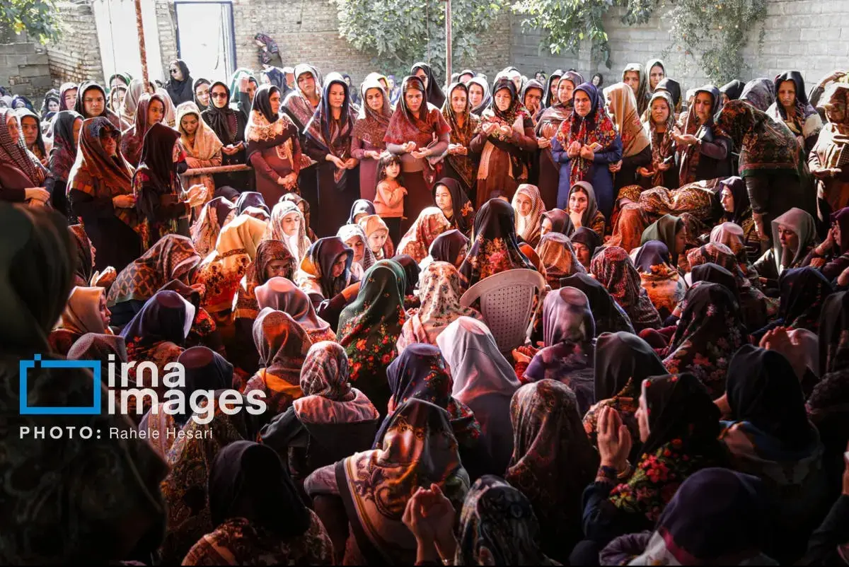 Screenshot_20251107_134627_Gallery