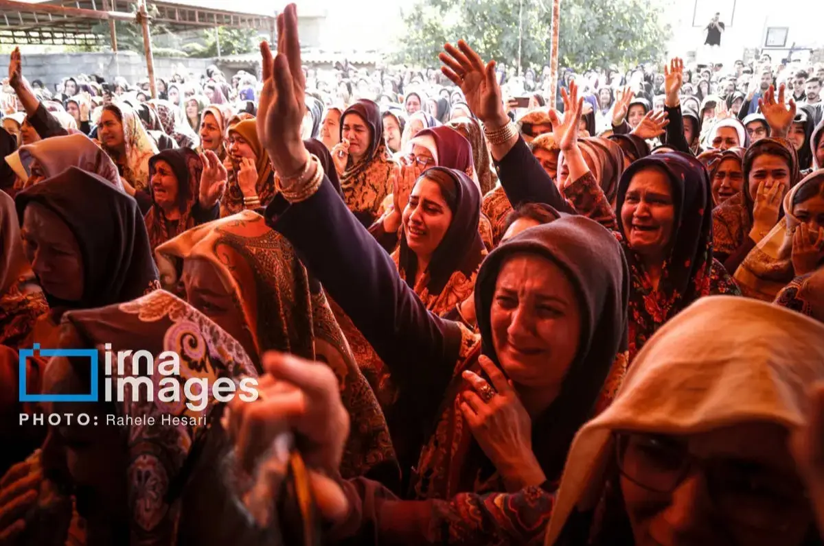 Screenshot_20251107_134634_Gallery