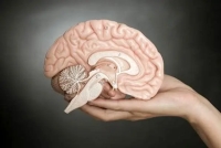 با این 8 تمرین ذهنی، مغزتان را فعال و جوان نگه دارید