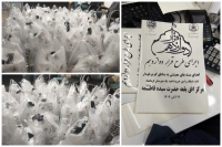 توزیع بسته معیشتی در ایام فاطمیه | سبد کالای 1,300,000 تومانی برای دهک‌های پایین