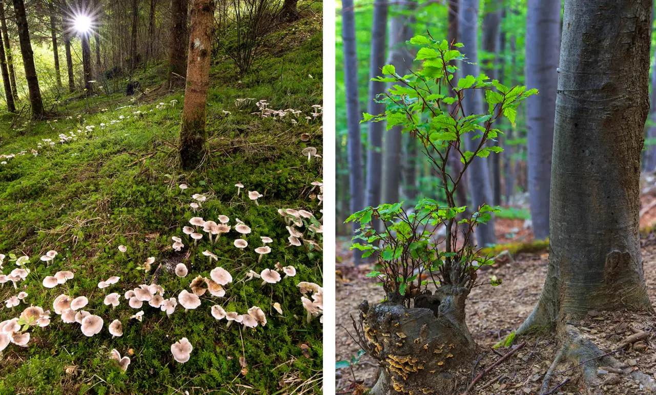 photo_2025-11-09_09-20-06