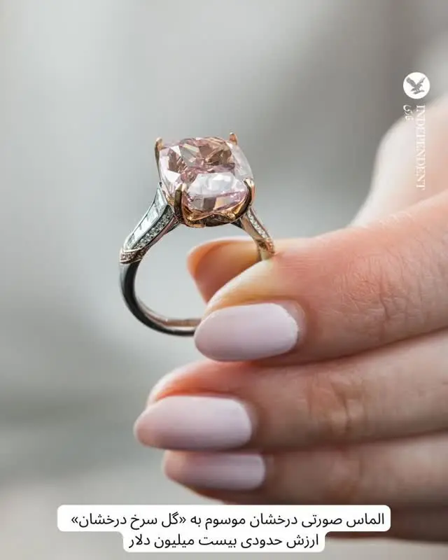 d85a66e1-b4da-4ae6-9353-d530dfc87618