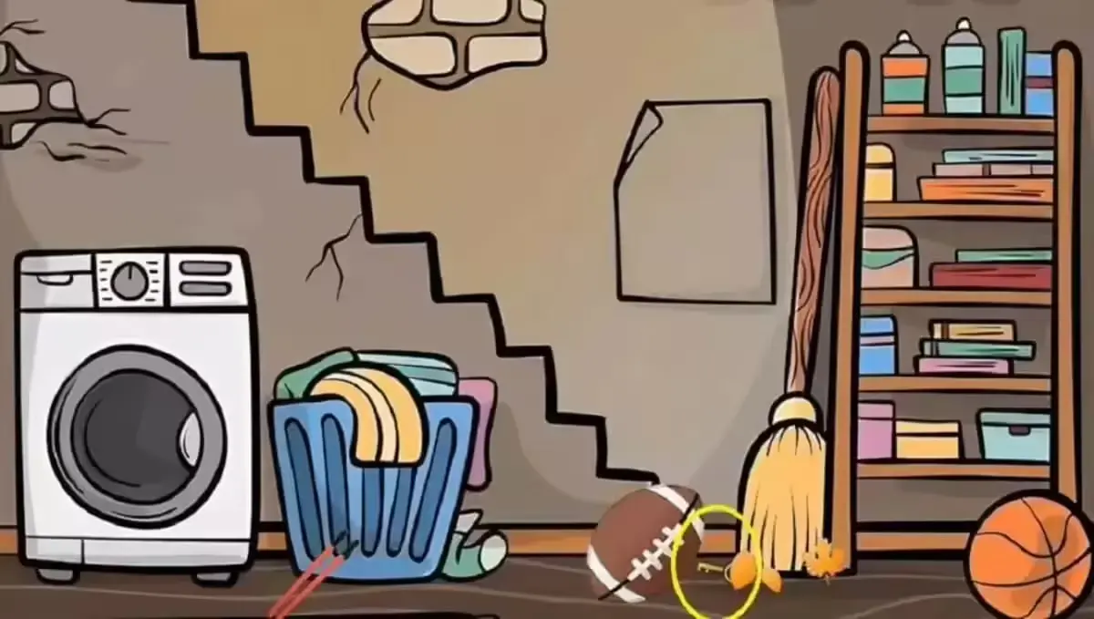 photo_2025-11-09_08-35-27