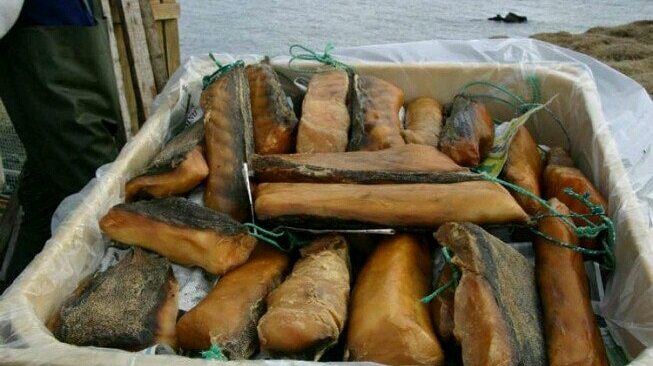 چندش آورترین غذاهای جهان ؛ اینجا جنین را هم می خورند + تصاویر | بفرمایید نوشیدنی مار و سوپ خون