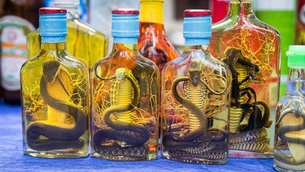 چندش آورترین غذاهای جهان ؛ اینجا جنین را هم می خورند + تصاویر | بفرمایید نوشیدنی مار و سوپ خون