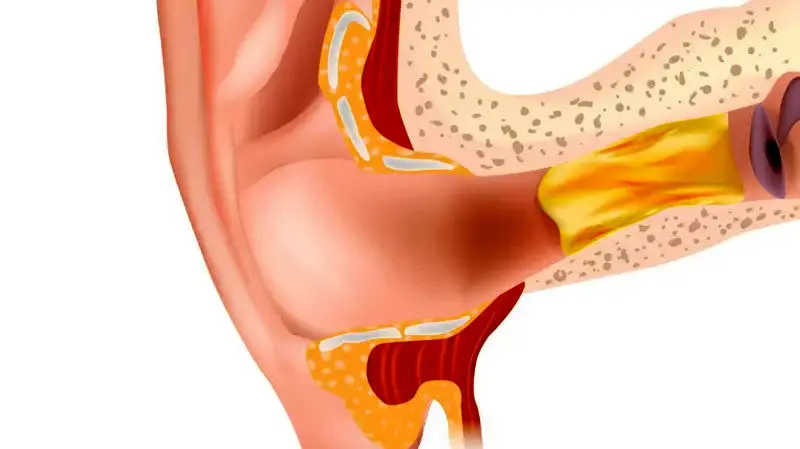 b1d4a0d0-6af1-11f0-aab0-6dfa4f4c8e30.jpg_11zon