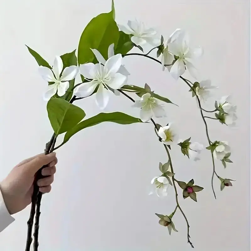 گیاهان اپارتمانی