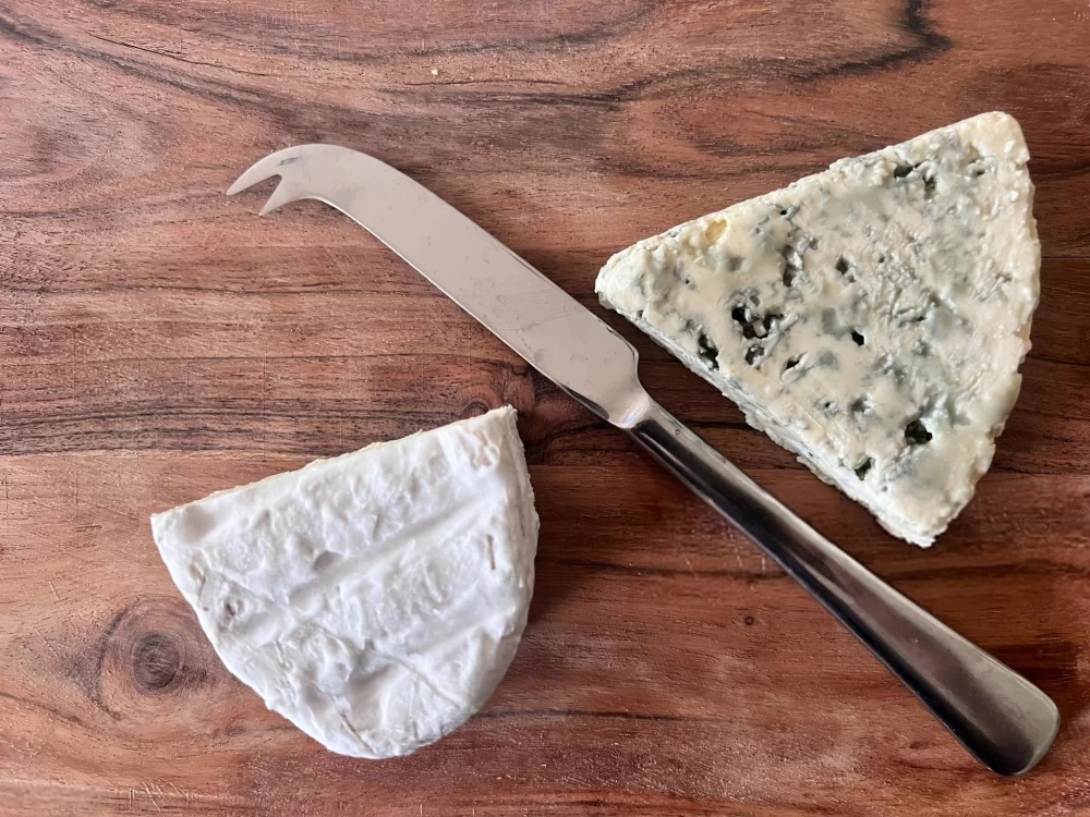 علت کپک زدن پنیر در یخچال