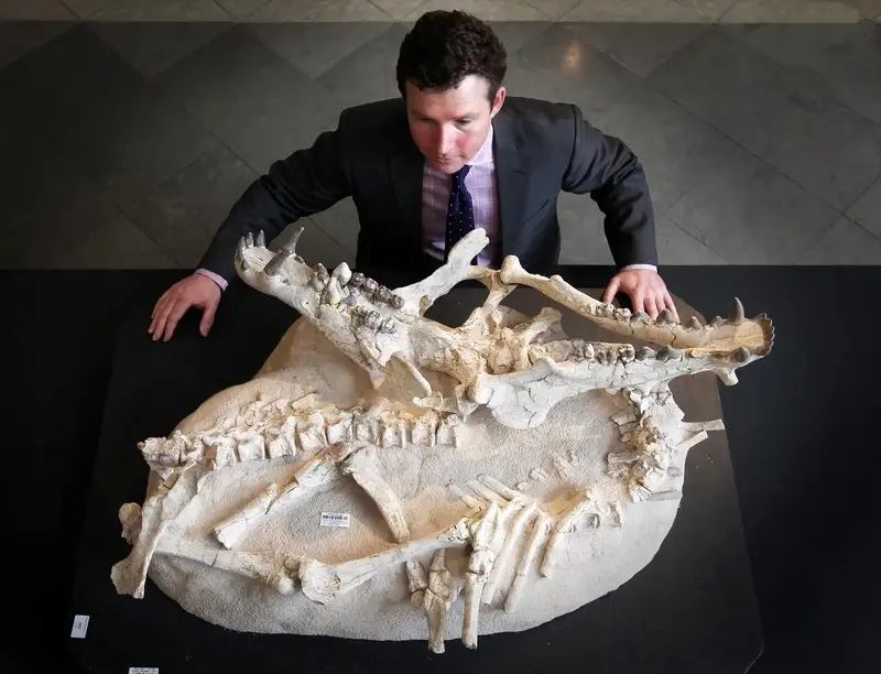 خوک های جهنمی