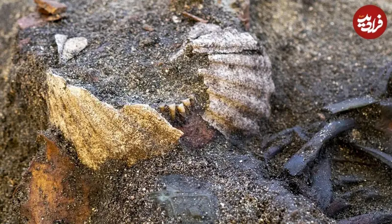 مقبره هزارساله