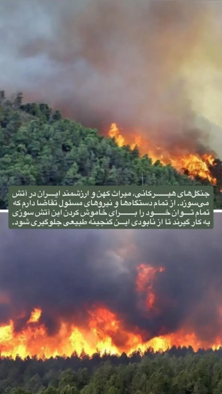 photo_2025-11-21_00-01-59