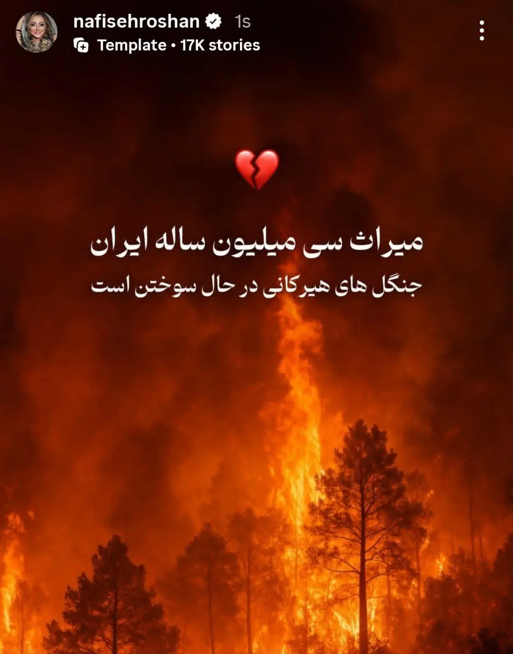 photo_2025-11-23_14-57-55