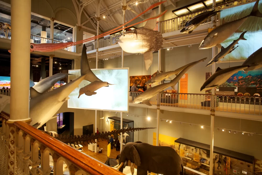 موزه ملی اسکاتلند کجاست ؟