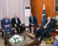 دیدار علی لاریجانی و آصف علی زرداری | تاکید رییس‌جمهور پاکستان بر همبستگی با ایران