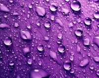 رازهای روانشناسی رنگ بنفش؛ از معنویت تا خلاقیت