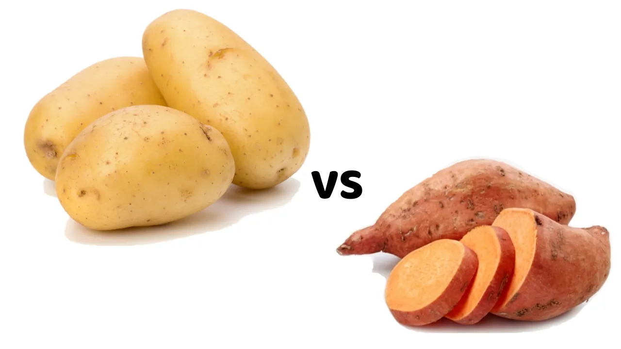 سیب زمینی زرد و سیب زمینی شیرین