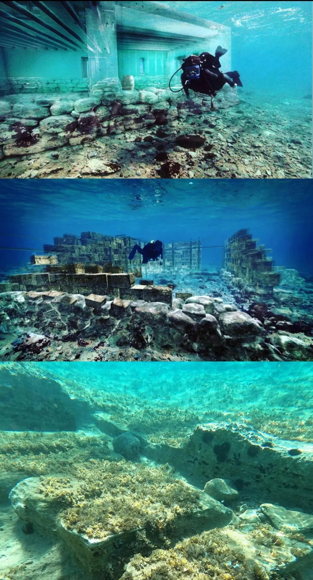 Screenshot_20251130-115949_Gallery