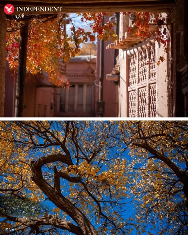 81f33189-3859-4811-8ea4-b042ea7e6a69