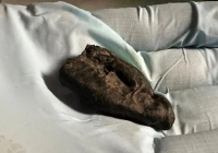 راز آدامس 10 هزار ساله؛ ردپای دختری با چشم قهوه‌‌ای را لو داد + عکس